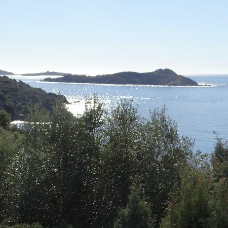 Appartement T2 50M² Vue Mer Presqu'Il De Giens. Rc Hyères Exteriér fotografie