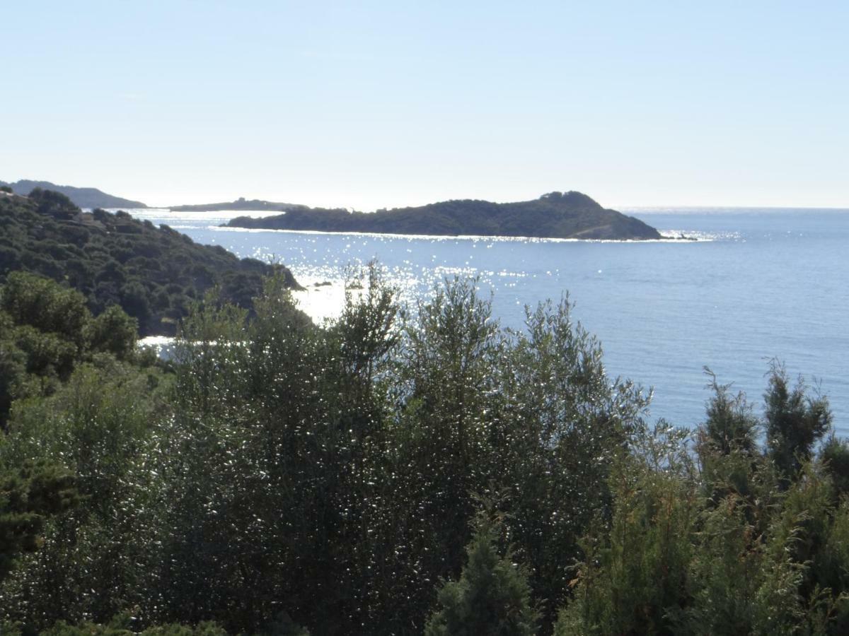 Appartement T2 50M² Vue Mer Presqu'Il De Giens. Rc Hyères Exteriér fotografie